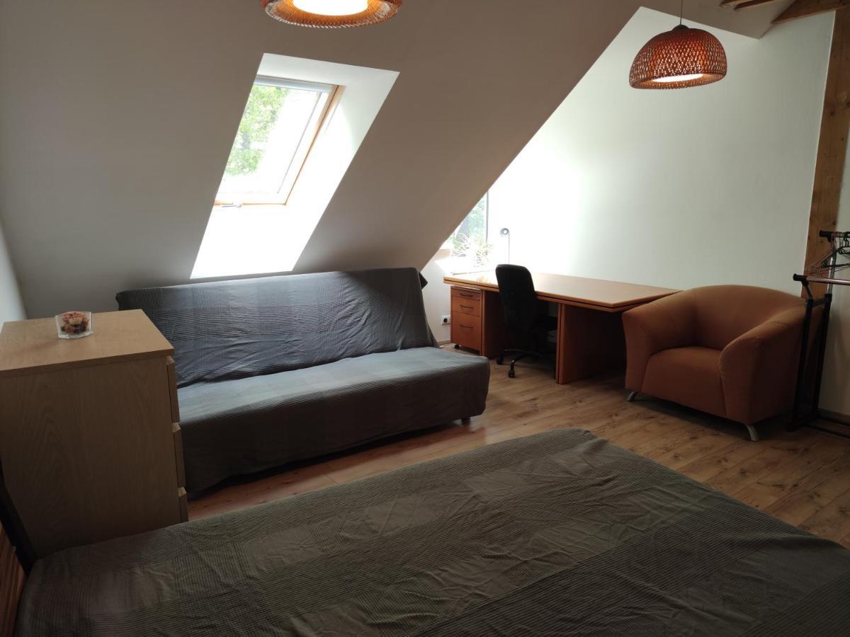 Attic Parkview Apartment Piest'any Exterior foto